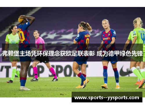 弗赖堡主场凭环保理念获欧足联表彰 成为德甲绿色先锋